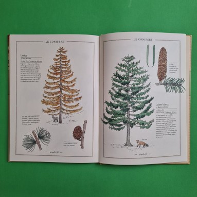 Inventario illustrato degli alberi
